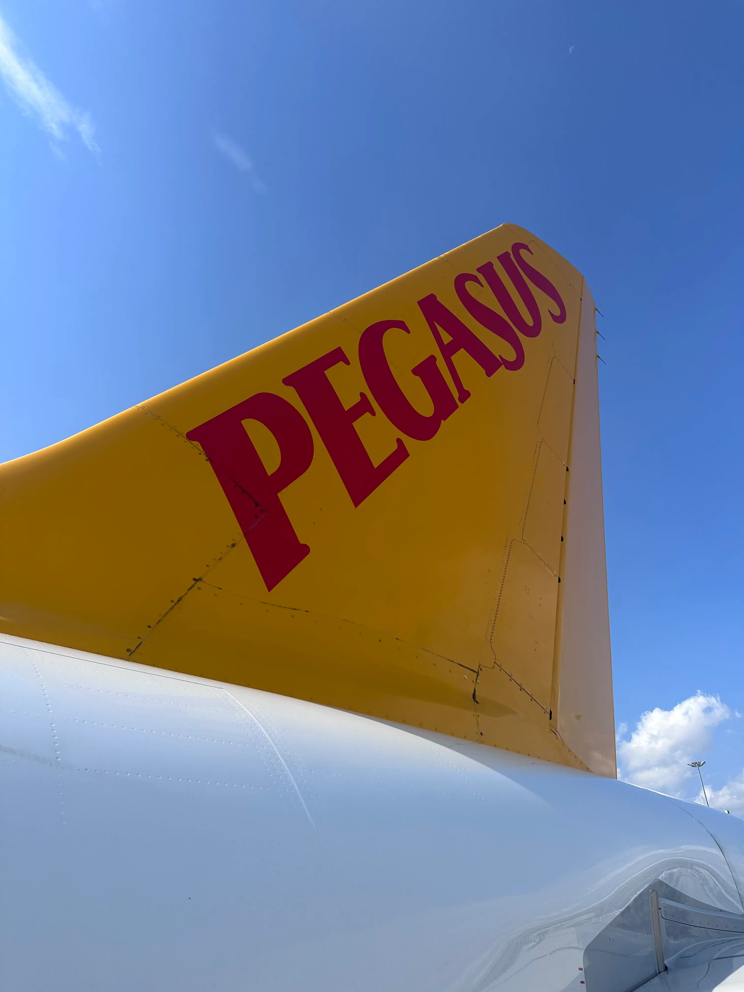 Close-up image of Pegasus Airlines aircraft tail